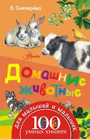 Купить Домашние животные — Фото №1