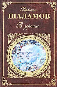 Купить В зеркале: рассказы, стихотворения, эссе и заметки — Фото №1