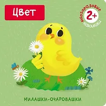 Купить Цвет (Книжка с наклейками) — Фото №1