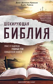Купить Шокирующая Библия. Ужас и надежда главных тем священной книги (бандероль) — Фото №1