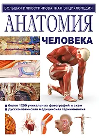 Купить Анатомия человека — Фото №1