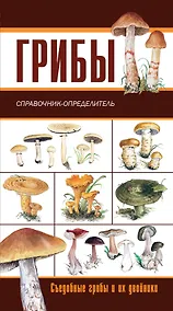Купить Грибы. Ягоды и плоды: съедобные и их несъедобные двойники: двухсторонний карманный атлас-определитель — Фото №1