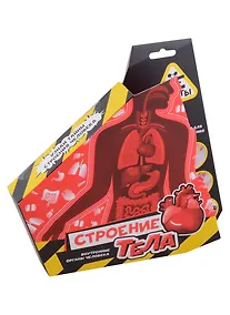 Купить Научно-познавательный набор "Строение тела", модели "Re-Агенты" — Фото №1