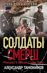 Купить Пуля для карателя — Фото №1