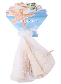 Купить Декоративные ракушки витые, 5 штук — Фото №1