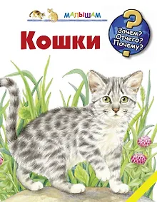 Купить Кошки — Фото №1