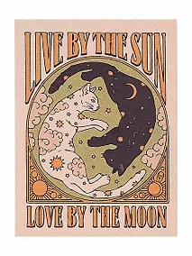 Купить Картина по номерам "Любишь солнце - люби и луну", на подрамнике, 30х40 см — Фото №1