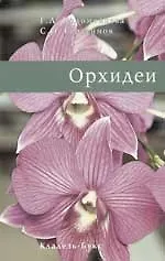 Купить Орхидеи — Фото №1