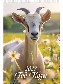 Купить Календарь 2027г 170*250 "Год Козы. Вид 1" настенный, на спирали — Фото №1