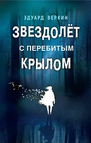 Купить Звездолёт с перебитым крылом — Фото №1