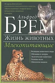 Купить Жизнь животных. Млекопитающие. А-Г — Фото №1