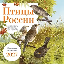 Купить Птицы России: когда ждать, где искать, как отличать. Календарь настенный на 2027 год (300х300 мм) — Фото №1