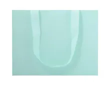 Купить Пакет А3 44*34*12 "Mint" — Фото №1