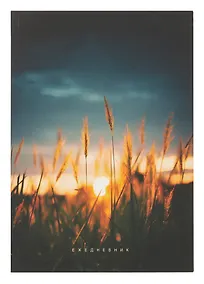 Купить Ежедневник недатированный А5 128 листов, "На рассвете", ламинация Soft Touch — Фото №1