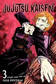 Купить Jujutsu Kaisen, Volume 3 — Фото №1