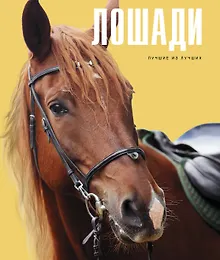Купить Лошади — Фото №1