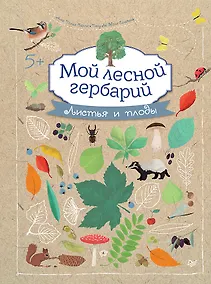 Купить Мой лесной гербарий — Фото №1