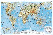 Купить Карта мира для детей А0+ (очень большая; физическая) — Фото №1