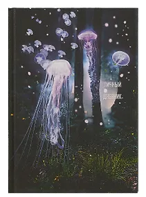 Купить Ежедневник недат. А5 128л "Волшебный лес" 7БЦ, ламинация soft touch, офсет — Фото №1