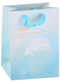 Купить Пакет А5 23*18*10  "Легкость" жен., бум.мат.ламинат — Фото №1