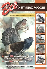 Купить Всё о птицах России — Фото №1