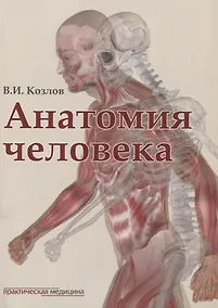 Купить Анатомия человека: учебник — Фото №1