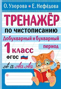 Купить Тренажер по чистописанию. Добукварный и букварный период. 1 класс — Фото №1