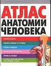 Купить Атлас анатомии человека — Фото №1