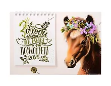 Купить Календарь 2026г 216*147 "Заходи на меня посмотреть" настольный, домик — Фото №1