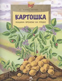 Купить Картошка. Машина времени на грядке — Фото №1