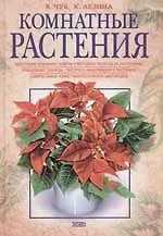 Купить Комнатные растения — Фото №1