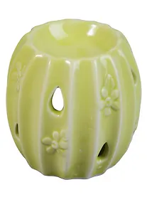 Купить Аромалампа Кактус (керамика) 8,5*6см — Фото №1