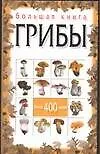 Купить Большая книга. Грибы — Фото №1