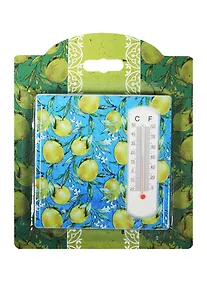 Купить Сувенир Феникс Презент Термометр декоративный 10*10см — Фото №1