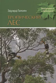 Купить Тропический лес — Фото №1