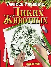 Купить Учитесь рисовать диких животных — Фото №1