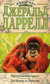 Купить Перегруженный ковчег.Три билета до Эдвенчер — Фото №1