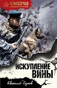 Купить Искупление вины — Фото №1