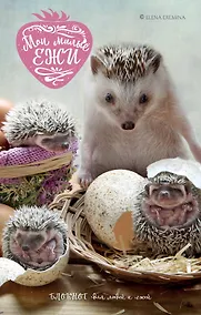 Купить Мои милые ежи. Блокнот для людей и ежей — Фото №1