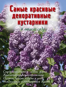 Купить Самые красивые декоративные кустарники в вашем саду — Фото №1