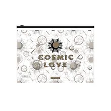 Купить Папка на молнии А4 "Magic Sky" с расширением, пластик, ErichKrause — Фото №1