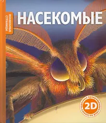 Купить Насекомые — Фото №1