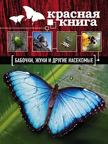 Купить Бабочки, жуки и другие насекомые — Фото №1