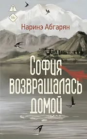 Купить София возвращалась домой — Фото №1