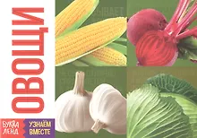 Купить Обучающая книга «Овощи» — Фото №1