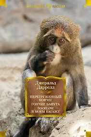 Купить Перегруженный ковчег. Гончие Бафута. Зоопарк в моем багаже — Фото №1