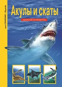 Купить Акулы и скаты — Фото №1