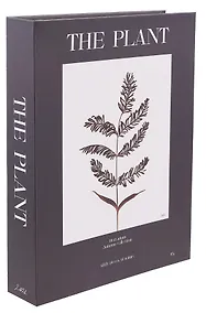 Купить Коробка подарочная "Растение" 25*18*3,8 картон, на магните — Фото №1