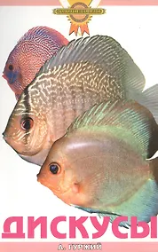 Купить Дискусы — Фото №1