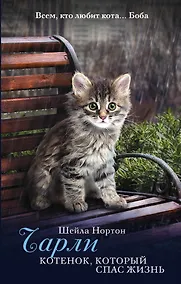 Купить Чарли. Котенок, который спас жизнь: роман — Фото №1